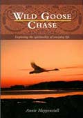 Wild Goose Chase: exploring the spirituality of everyday life